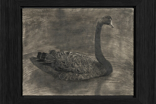 Silent Auction #40 Photo