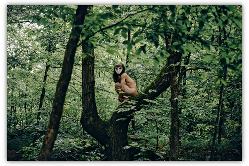 Live Auction #07 Photo