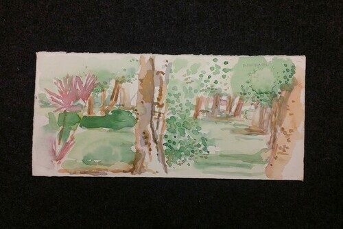 Between Trees and Shrubs Main Image