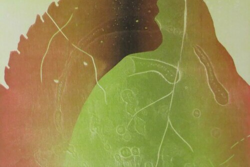 Shine (2/4) Main Image