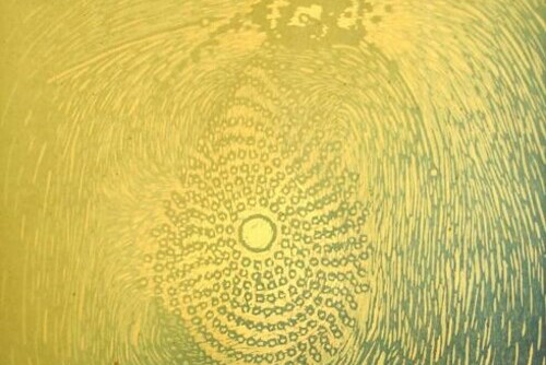 Woodblock Galaxies III Main Image