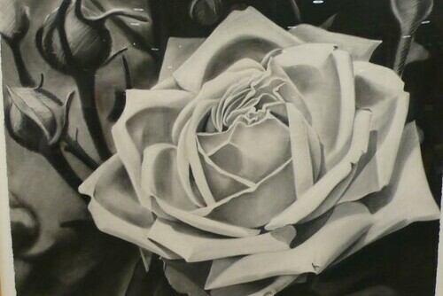 Black Rose Main Image