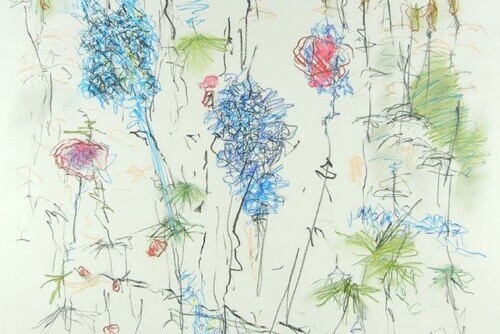Blue Flowers Main Image