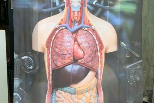 Body = $9 million/Soul $0 Main Image