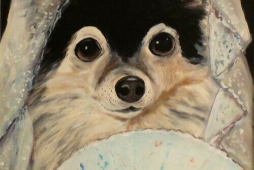 Chihuahua in Lace Main Image