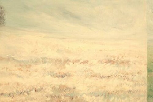Field, Multi State View Main Image