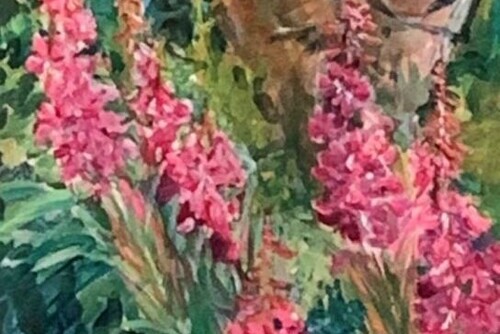 Fireweeds Main Image