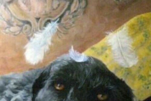 The Angel Main Image