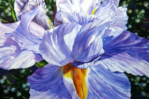 Iris Eloquence #1 Main Image
