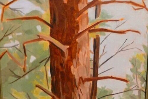 Kilpoola Pine Main Image