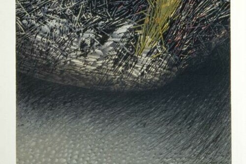 Marsh's Edge Main Image