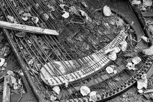 Piano Main Image
