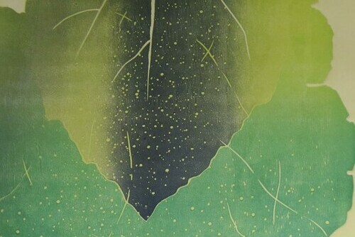 Rain (A/P) Main Image