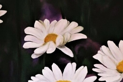 painting of white daisies on a dark background