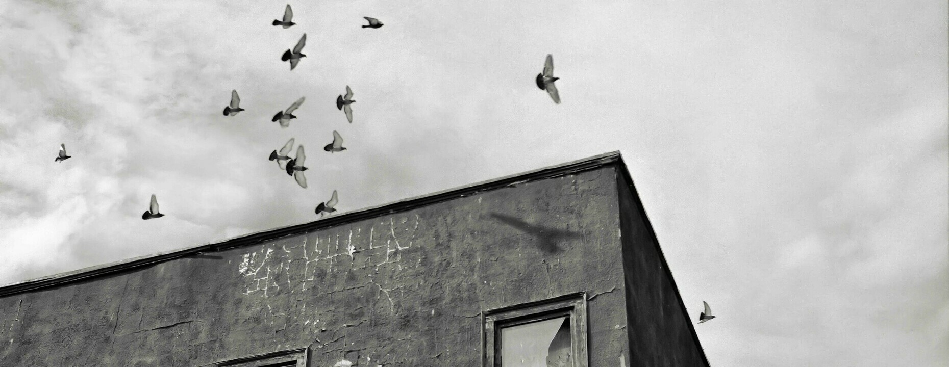 A photo of pigeons flying around a dilapidated building.