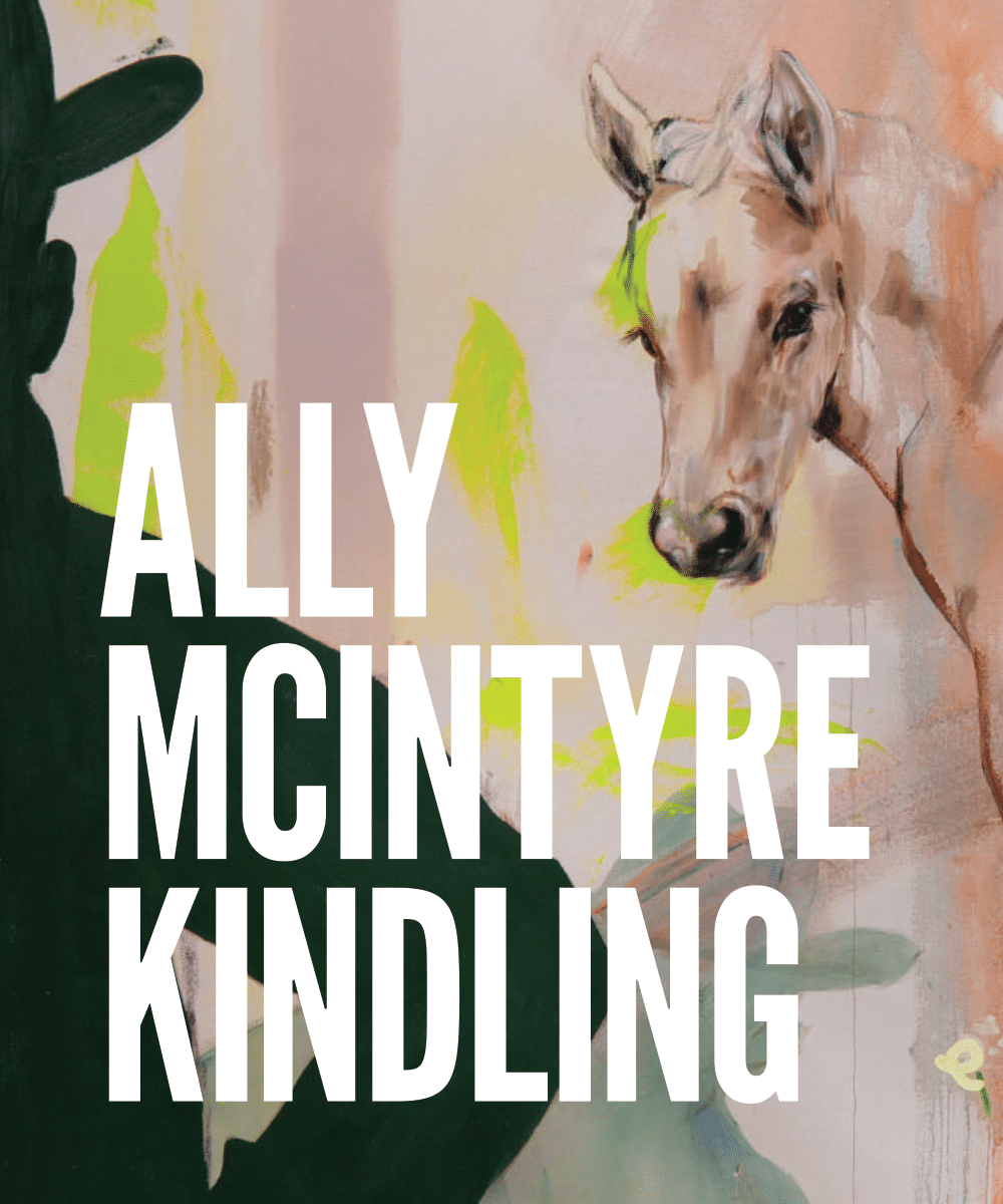 The cover of Ally McIntyre: Kindling which contains a painted white horse