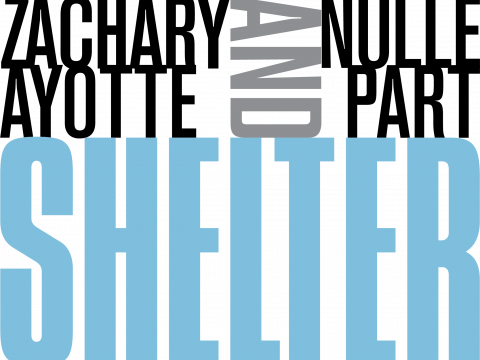 Shelter exhibition title treatment