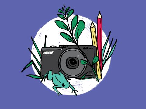 Illustration of camera, pencils and nature